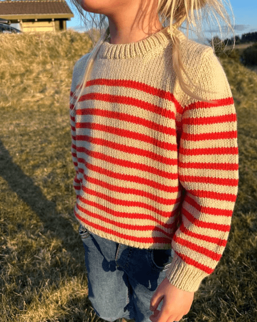 Hovedbilde Lyon sweater junior
